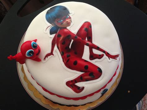 Ladybug and cat noir cake | Ladybug cakes, Doll cake, Owl cakes