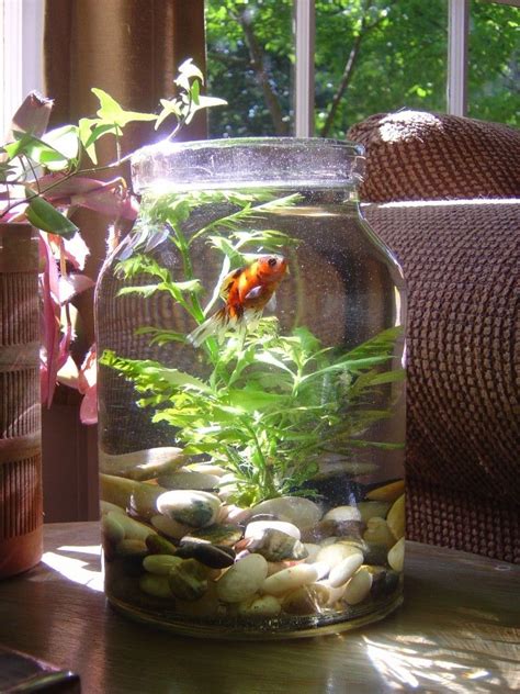 Feng Shui To Create A Meditative Home! | Indoor water garden, Water ...