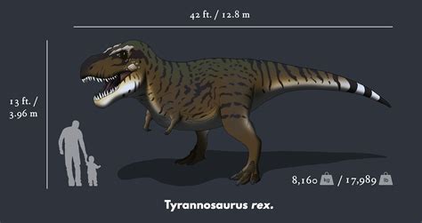 Tyrannosaurus Rex Size Chart :: Behance