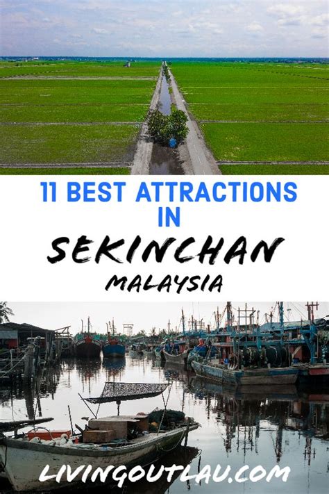 Explore the Top Attractions in Sekinchan, Malaysia