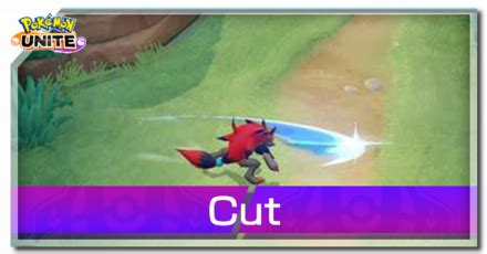 Cut: Zoroark Move Effect and Cooldown | Pokemon UNITE｜Game8