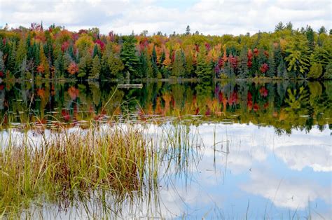 Fall Colors In Algonquin Park 2014