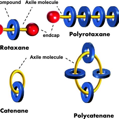 Examples of CD-based catenanes [26, 29–34] | Download Scientific Diagram