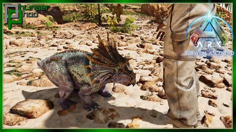 Ark Ascended - New Taming Method - How to Claim Wild Baby Dinosaurs ...