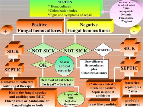 Gram Negative Sepsis Symptoms