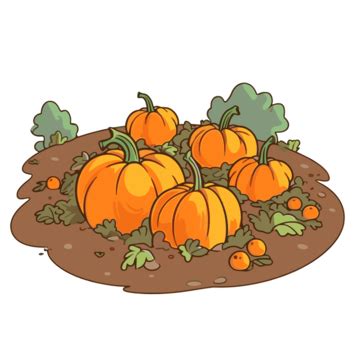 Pumpkin Patch Clipart Pumpkins On The Ground Vector Illustration ...