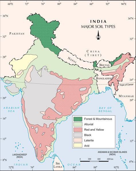 Major Soil Types in India | Classification and Characteristics, Soil ...