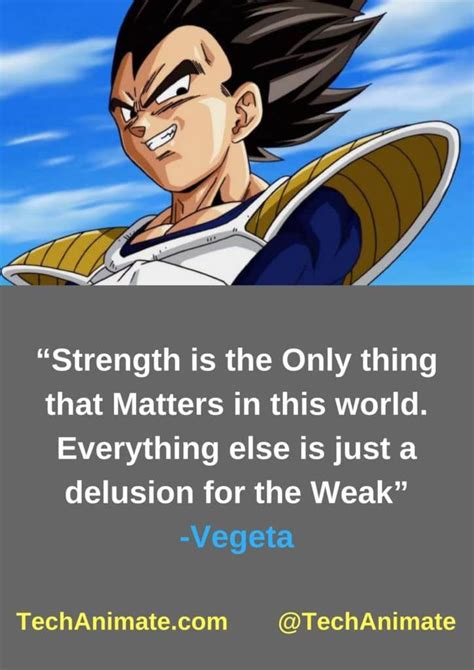 Vegeta Quotes - ShortQuotes.cc