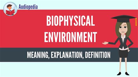 What Is BIOPHYSICAL ENVIRONMENT? BIOPHYSICAL ENVIRONMENT Definition ...