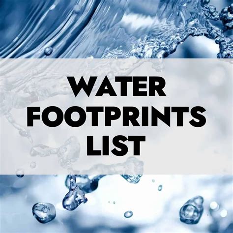 Water Footprint Of Food List