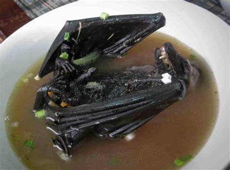 Weird Asian food — 10 famous weird foods in Asia dare you to eat ...