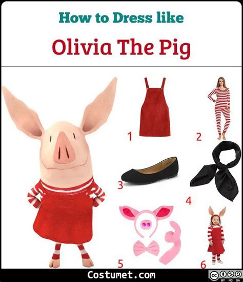 Olivia the Pig Costume for Halloween