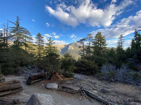 16 Best Idyllwild Hiking Trails for Adventure Enthusiasts