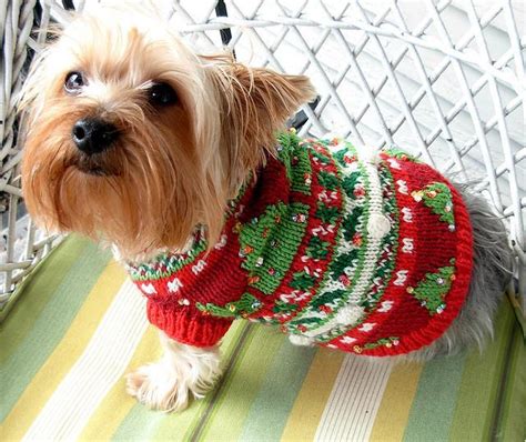 Adorable Dogs in Horrible Christmas Sweaters