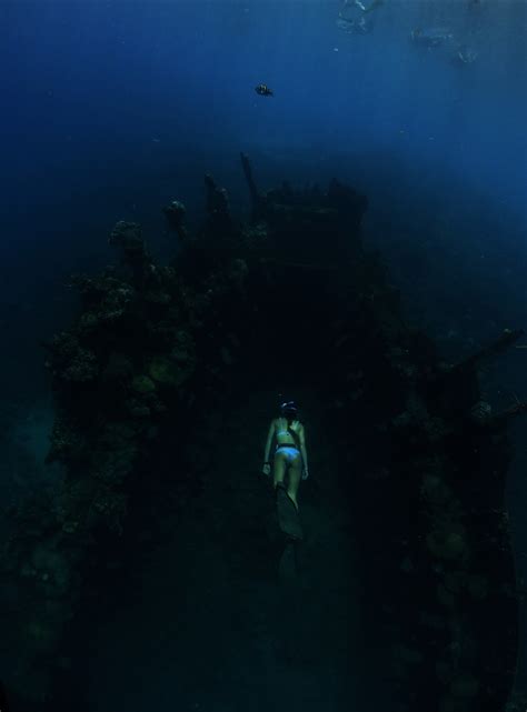 Scary Ocean Encounters By Divers, Sailors, And Surfers