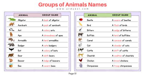 List of Groups of Animals Names with Images and Download Pdf