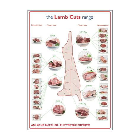 Butchers | Lamb Prime Cuts of Meat Poster | Catersigns