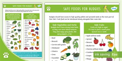 Safe Foods for Budgies - List - Bird Care - Twinkl Pets