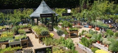 burford garden centre - Google Search | Garden nursery, Garden center ...