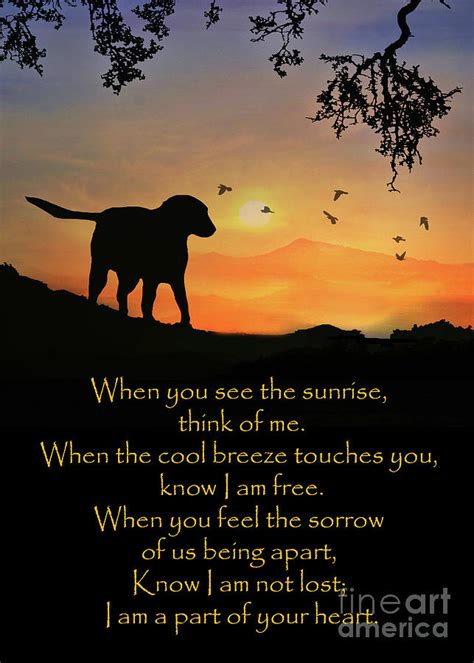 Spiritual Dog Sympathy Poem Photograph by Stephanie Laird - Pixels