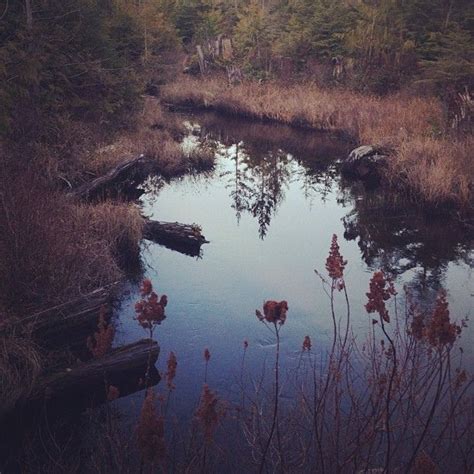 Taholah, WA | Natural landmarks, West coast, Outdoor