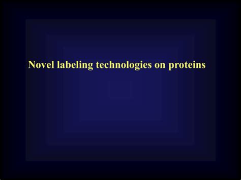 Protein array