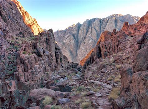 Mount Sinai Sunrise Tour - Tourist Journey