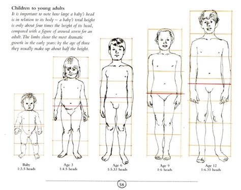 an image of a child's body and height chart for children to learn how ...