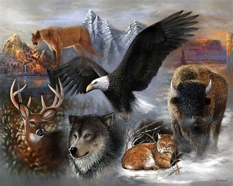 North American Wildlife Art