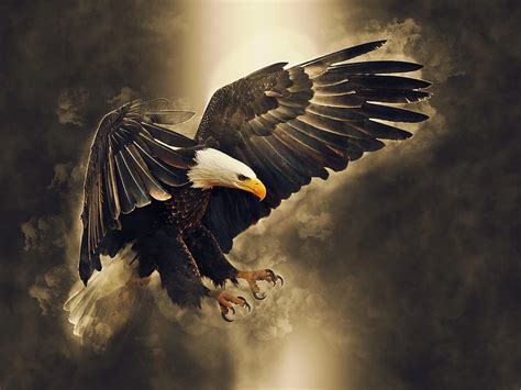 American Eagle Art