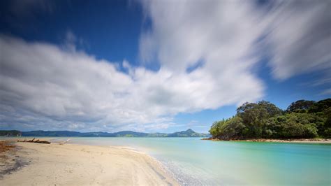 Cooks Beach, Waikato holiday homes: holiday houses & more | Bookabach