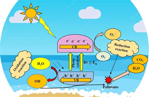 Schematic representation of the mechanism of photocatalytic degradation ...