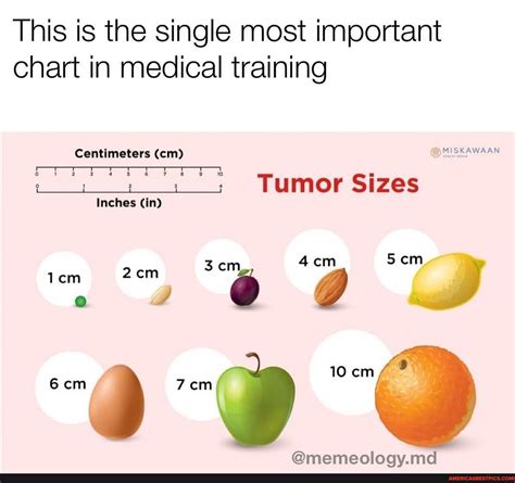 Second opinion said it was actually a strawberry sized tumor - This is ...