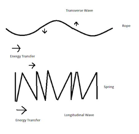 Transverse Wave | Overview & Examples - Video & Lesson Transcript ...