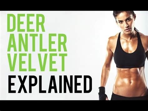 Deer Antler Velvet Explained - Antler Farms - YouTube