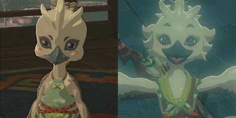 How Characters From Breath Of The Wild Changed In Tears Of The Kingdom