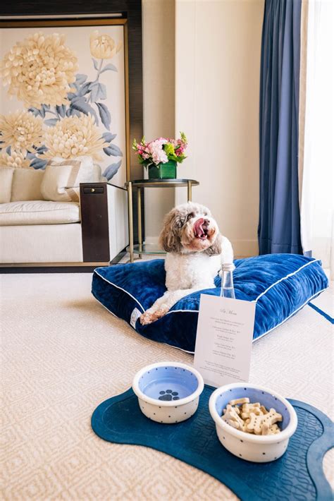 Best Pet-Friendly Hotels - Pet-Friendly Hotels Across the U.S.