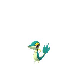 Shiny Snivy - ShinyRating