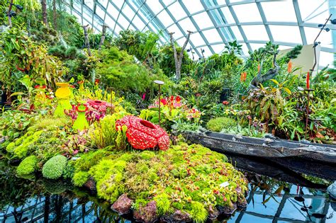 Cloud Forest at Gardens by the Bay - One of Singapore’s Coolest ...