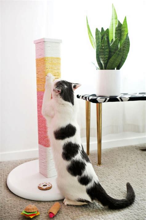 15 Easy DIY Cat Scratching Post Plans (Make a Cat Scratcher)