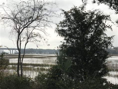 King Tides in Charleston, SC! | Charleston, Tide, King