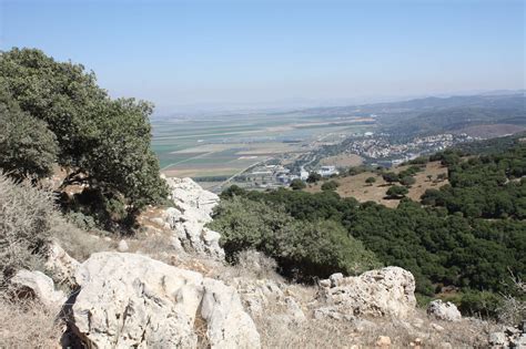 Views from up above / Mount Carmel, Haifa, Israel ⋆ The Passenger