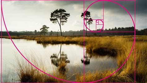 A Bit of History About the Golden Ratio and Rule of Thirds | Fstoppers