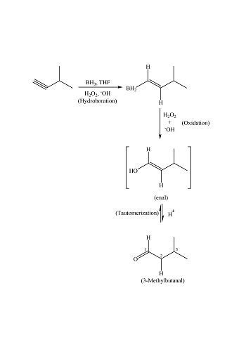 What is the product of the following product? BH3, THF | Homework.Study.com