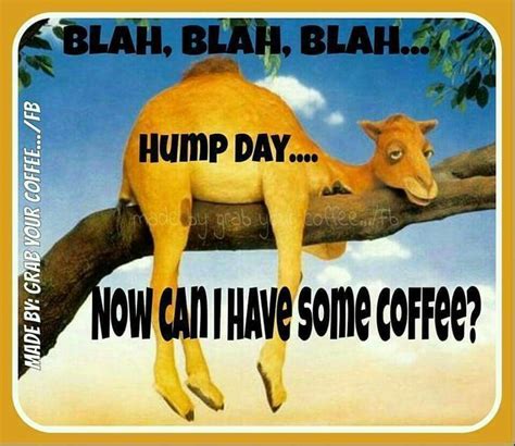 20180829151447 (With images) | Wednesday hump day, Funny good morning ...