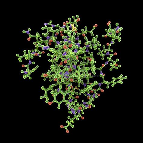 Insulin Molecule, 3D Illustration Stock Illustration - Illustration of ...