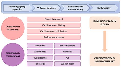 Illustration of the causes and risk factors for cardiotoxicity ...