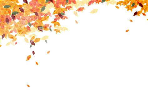 Fall Leaves PNG Images Transparent Background | PNG Play