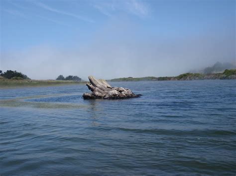 Matt Duckworth Underwater: Russian River Kayaking II