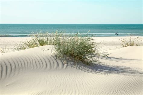 Beach Sand Dunes Gentle Dune - Free photo on Pixabay - Pixabay